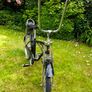 low rider bike Image 5