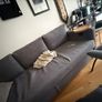 Sofa bed + storage unit Image 2
