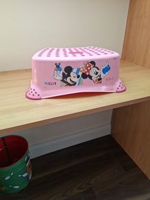 Disney toddler step