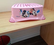 Disney toddler step