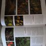 Dirr's Encyclopedia of Trees and Shrubs Michael A. Dirr Image 3