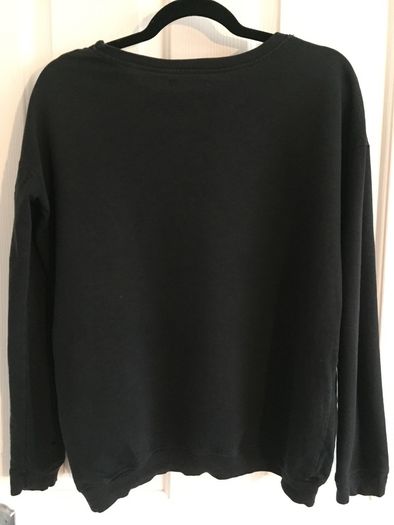 Zara sweater - eagle with stars