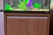 Fluval 90l Tank with stand