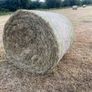 Hay Image 2