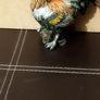 Cockerel Image 5