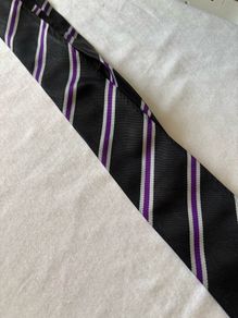 Terenure College school ties