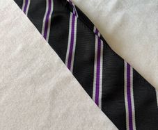 Terenure College school ties
