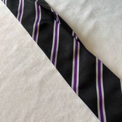 Terenure College school ties
