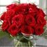 holly376