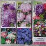 Over 100 different type of seeds at 1.00 euro per pack Image 3