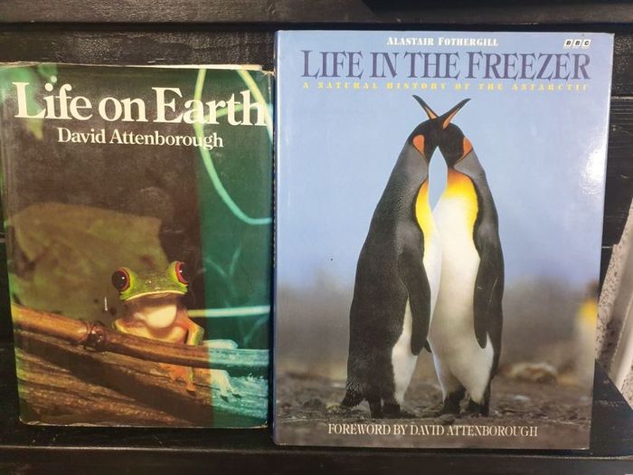 Travel and nature books