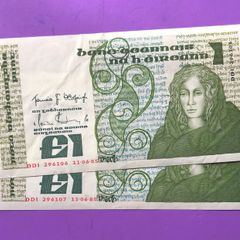 Irish one pound notes