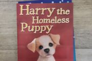 Harry the homeless Puppy