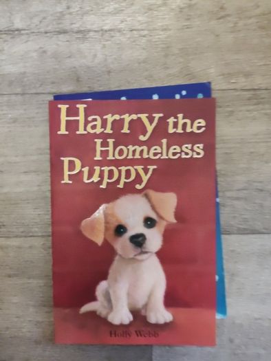 Harry the homeless Puppy