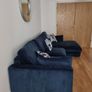 Dfs Sofa Image 3