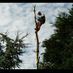 treeman