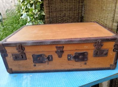 Vintage suitcase