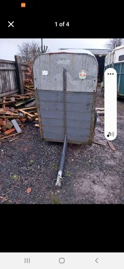 Calf sheep pony box