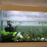 Fish tank 40 l Image 2