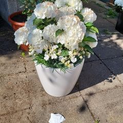 Classico 35 planters