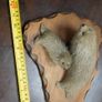 Vintage Faux Seal Pair Figure on Wooden Base Image 4