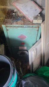 Firebird boiler