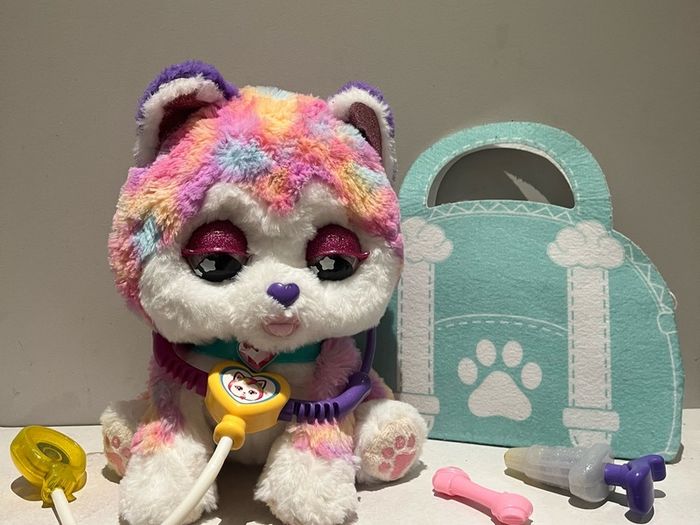 Hope the rainbow husky