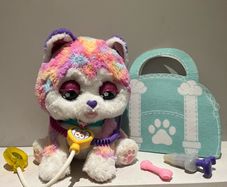 Hope the rainbow husky