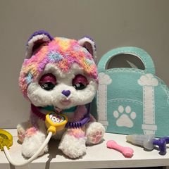 Hope the rainbow husky