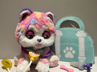Hope the rainbow husky