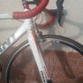 Giant TCR Image 4