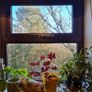 Brand new double glazed windows Image 4