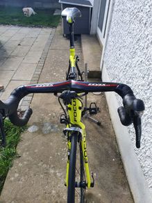 Focus cayo carbon road bike