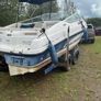 Speed boat Image 2