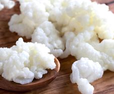 Milk kefir grains 20 grams