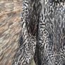 1950s style animal print Faux Fur jacket Image 7