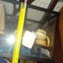 fish Image 3