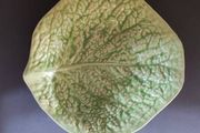 Vintage cabbage leaf bowl | English Majolica style dish | decorative bowl | display bowl | lettuce dish | collectible English ceramic dish