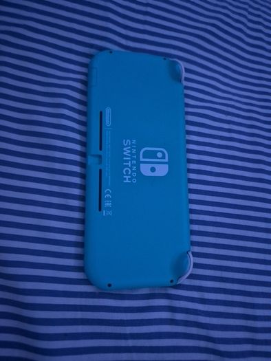 switch lite
