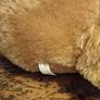 Large Plush Toy Image 6