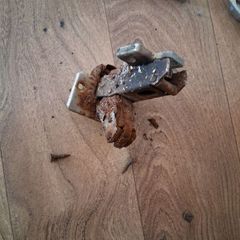 Kitchen Door hinge.