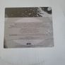 The flaming lips the sort bulletin companion RSD 2 silver vinyl Image 3