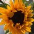 Sunny Flower