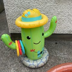 cactus sprinkler