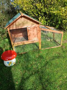rabbit house