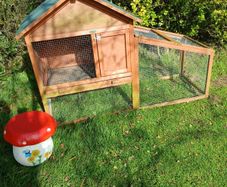 rabbit house
