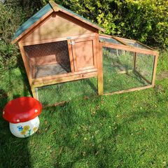 rabbit house