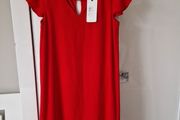 Zapara Shift Dress BNWT UK10  RRP 59.99