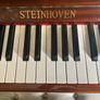Steinhoven Piano Image 9
