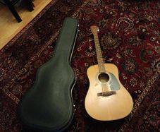 acoustic gu